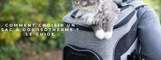 Comment choisir un sac à dos isotherme ?       15 critères et 15 questions
